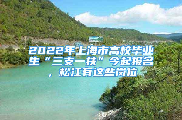 2022年上海市高校畢業(yè)生“三支一扶”今起報(bào)名，松江有這些崗位