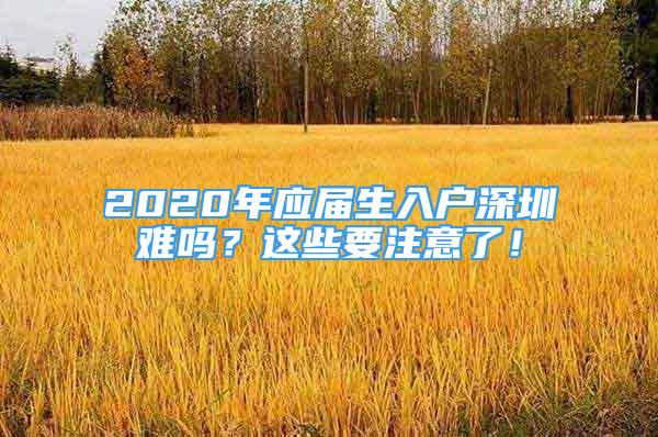 2020年應(yīng)屆生入戶深圳難嗎？這些要注意了！