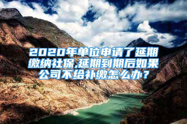 2020年單位申請了延期繳納社保,延期到期后如果公司不給補繳怎么辦？