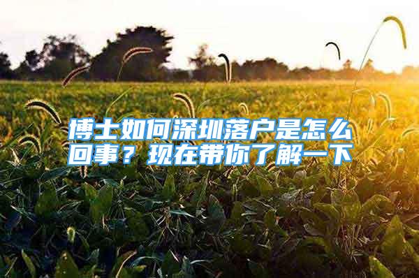 博士如何深圳落戶是怎么回事？現在帶你了解一下