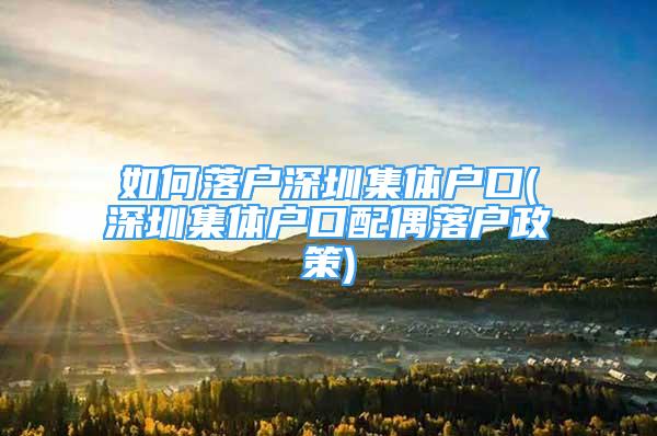 如何落戶深圳集體戶口(深圳集體戶口配偶落戶政策)