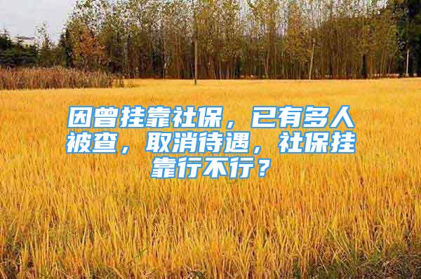 因曾掛靠社保，已有多人被查，取消待遇，社保掛靠行不行？