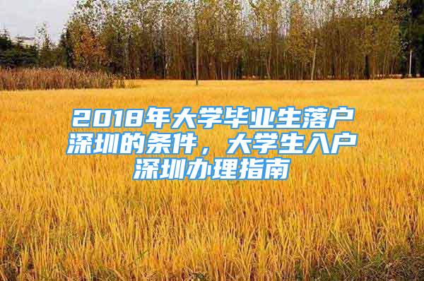 2018年大學(xué)畢業(yè)生落戶深圳的條件，大學(xué)生入戶深圳辦理指南