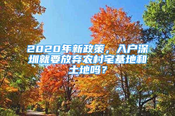 2020年新政策，入戶深圳就要放棄農(nóng)村宅基地和土地嗎？