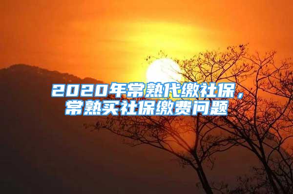 2020年常熟代繳社保，常熟買社保繳費(fèi)問題