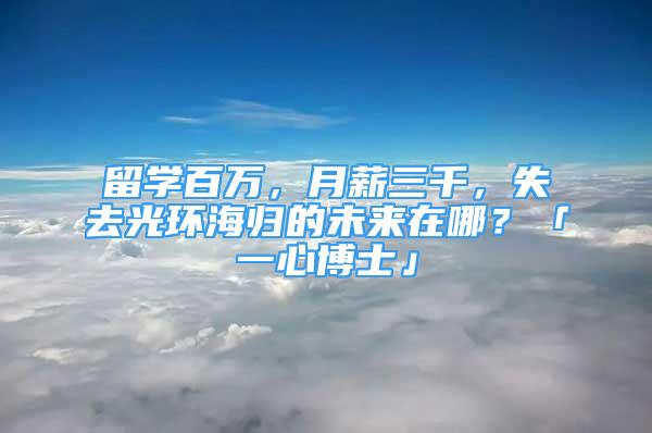 留學百萬，月薪三千，失去光環(huán)海歸的未來在哪？「一心博士」