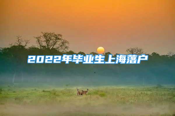 2022年畢業(yè)生上海落戶