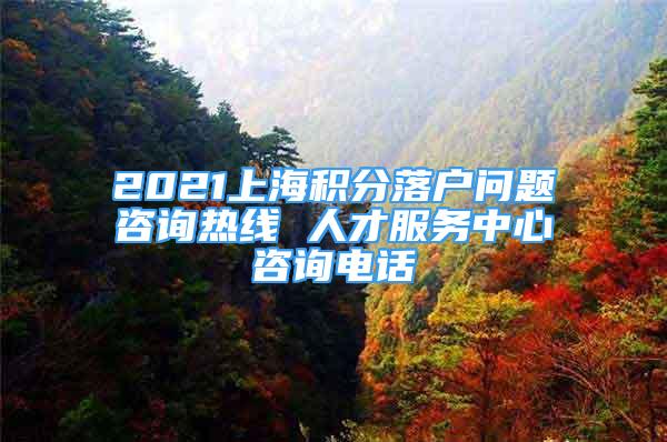 2021上海積分落戶(hù)問(wèn)題咨詢(xún)熱線 人才服務(wù)中心咨詢(xún)電話