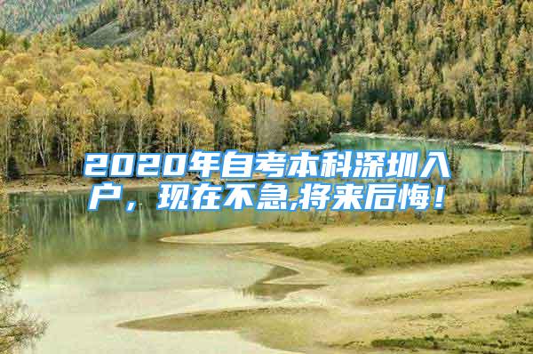 2020年自考本科深圳入戶，現(xiàn)在不急,將來后悔！