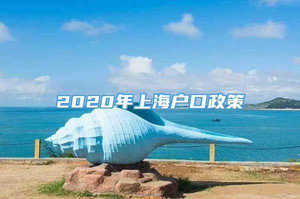 2020年上海戶口政策