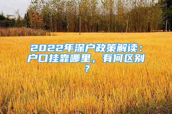 2022年深戶政策解讀：戶口掛靠哪里，有何區(qū)別？