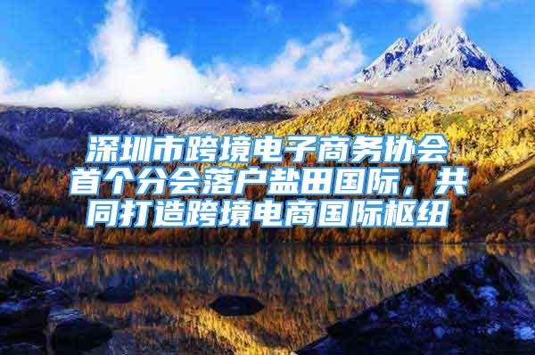 深圳市跨境電子商務協(xié)會首個分會落戶鹽田國際，共同打造跨境電商國際樞紐