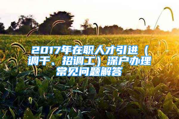 2017年在職人才引進(jìn)（調(diào)干、招調(diào)工）深戶辦理常見(jiàn)問(wèn)題解答