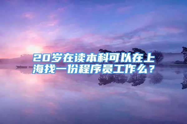 20歲在讀本科可以在上海找一份程序員工作么？