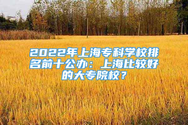 2022年上海?？茖W校排名前十公辦：上海比較好的大專院校？