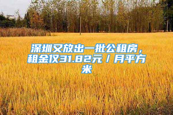 深圳又放出一批公租房，租金僅31.82元／月平方米