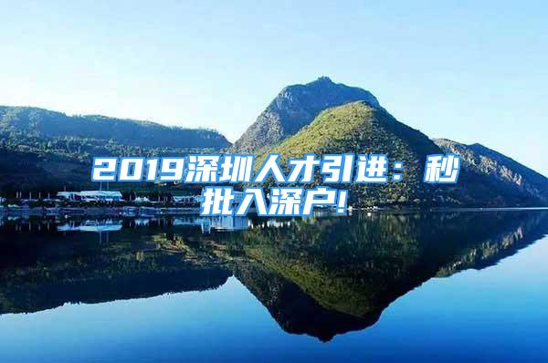 2019深圳人才引進：秒批入深戶!