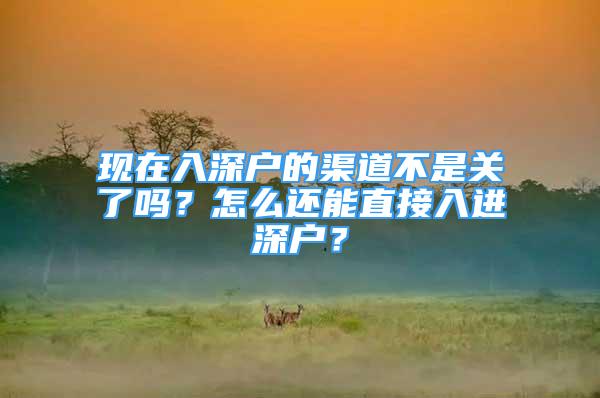 現(xiàn)在入深戶的渠道不是關(guān)了嗎？怎么還能直接入進深戶？