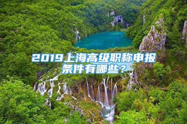 2019上海高級職稱申報條件有哪些？