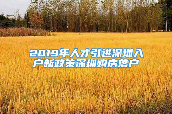 2019年人才引進(jìn)深圳入戶(hù)新政策深圳購(gòu)房落戶(hù)