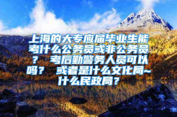 上海的大專應屆畢業(yè)生能考什么公務員或非公務員？ 考后勤警務人員可以嗎？ 或者是什么文化局~什么民政局？