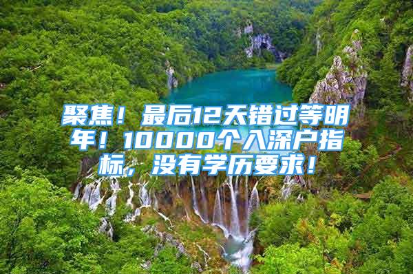 聚焦！最后12天錯(cuò)過等明年！10000個(gè)入深戶指標(biāo)，沒有學(xué)歷要求！