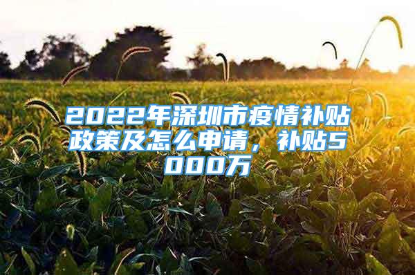 2022年深圳市疫情補(bǔ)貼政策及怎么申請，補(bǔ)貼5000萬