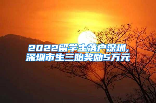 2022留學(xué)生落戶深圳,深圳市生三胎獎勵5萬元