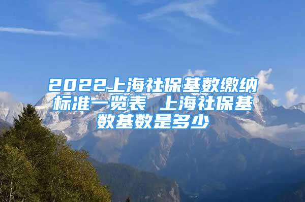 2022上海社保基數(shù)繳納標(biāo)準(zhǔn)一覽表 上海社?；鶖?shù)基數(shù)是多少