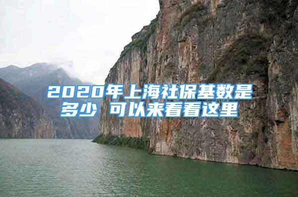 2020年上海社?；鶖?shù)是多少 可以來看看這里