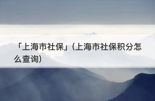 「上海市社?！?上海市社保積分怎么查詢)