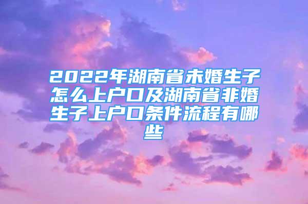 2022年湖南省未婚生子怎么上戶口及湖南省非婚生子上戶口條件流程有哪些