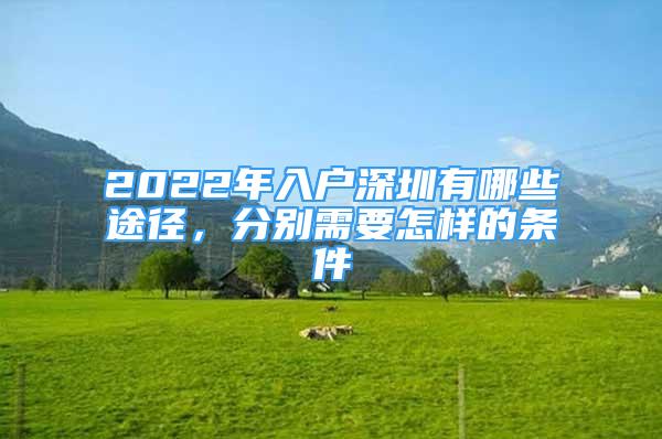 2022年入戶深圳有哪些途徑，分別需要怎樣的條件