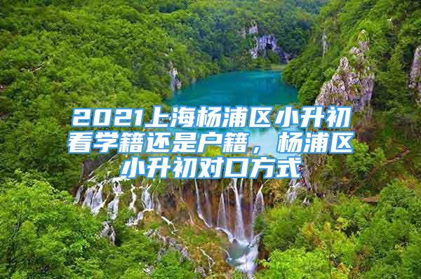 2021上海楊浦區(qū)小升初看學(xué)籍還是戶籍，楊浦區(qū)小升初對口方式