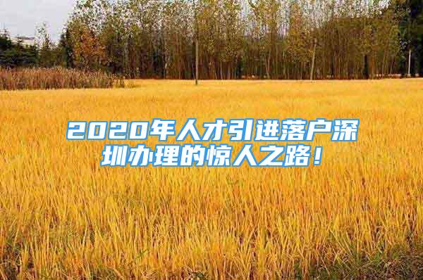 2020年人才引進(jìn)落戶深圳辦理的驚人之路！