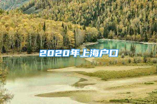 2020年上海戶口