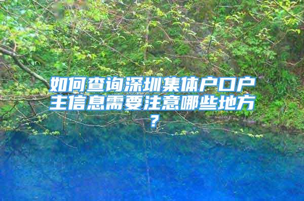 如何查詢深圳集體戶口戶主信息需要注意哪些地方？