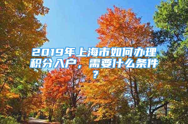 2019年上海市如何辦理積分入戶，需要什么條件？