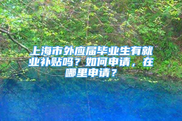 上海市外應(yīng)屆畢業(yè)生有就業(yè)補貼嗎？如何申請，在哪里申請？