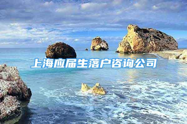 上海應(yīng)屆生落戶咨詢公司