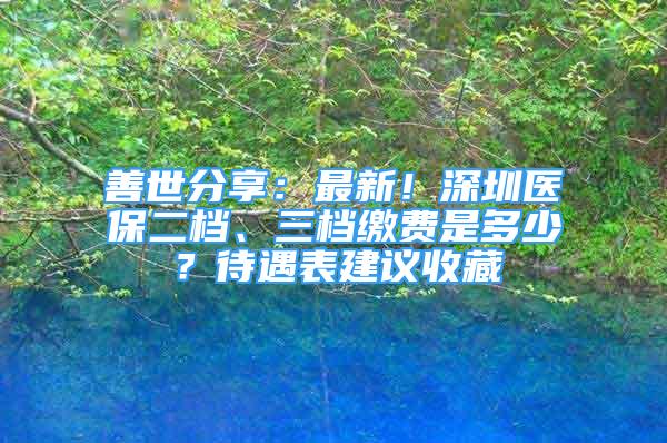 善世分享：最新！深圳醫(yī)保二檔、三檔繳費(fèi)是多少？待遇表建議收藏