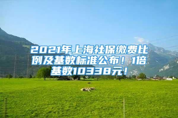 2021年上海社保繳費(fèi)比例及基數(shù)標(biāo)準(zhǔn)公布！1倍基數(shù)10338元！