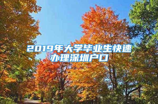 2019年大學畢業(yè)生快速辦理深圳戶口