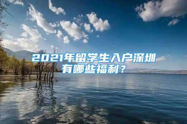 2021年留學(xué)生入戶深圳有哪些福利？