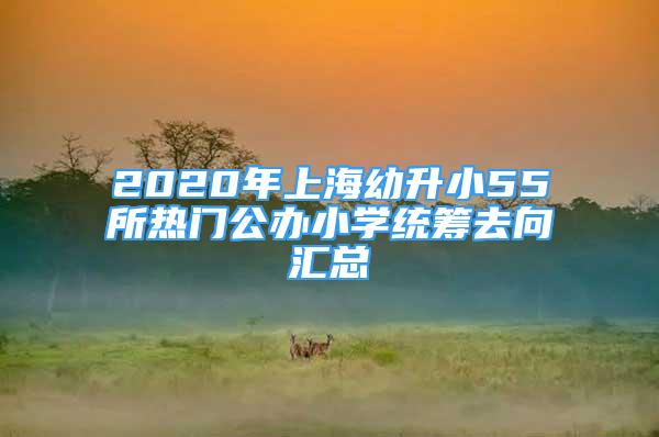 2020年上海幼升小55所熱門公辦小學(xué)統(tǒng)籌去向匯總