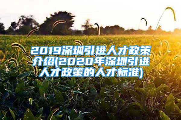 2019深圳引進(jìn)人才政策介紹(2020年深圳引進(jìn)人才政策的人才標(biāo)準(zhǔn))