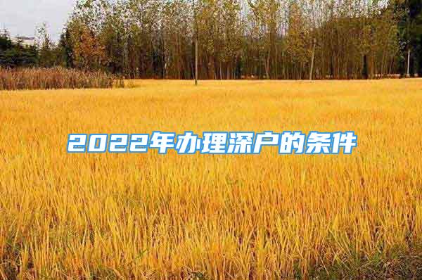 2022年辦理深戶的條件