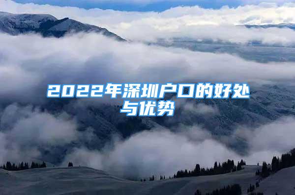 2022年深圳戶口的好處與優(yōu)勢(shì)