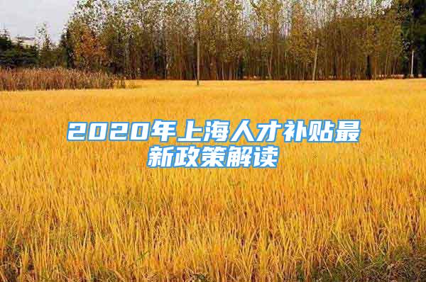 2020年上海人才補(bǔ)貼最新政策解讀