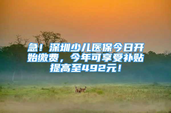 急！深圳少兒醫(yī)保今日開始繳費(fèi)，今年可享受補(bǔ)貼提高至492元！